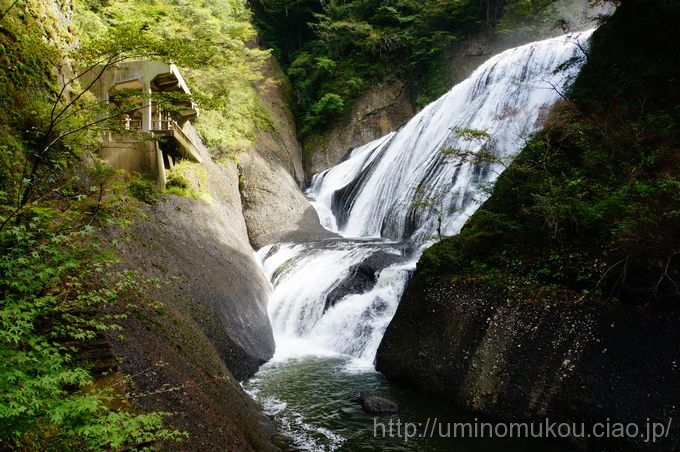 「来て！見て！絶景！　いばらきモニターツアー」⑧　日本三名瀑　袋田の滝はとんでもない迫力だった