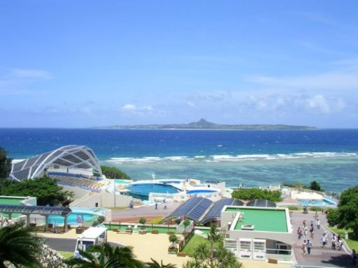 水納島と知念へのドライブ旅(2)　美ら海水族館へ行くのだ！